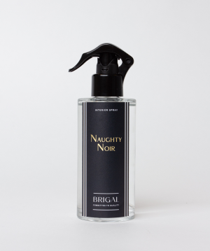 Naughty Noir - Interior Spray